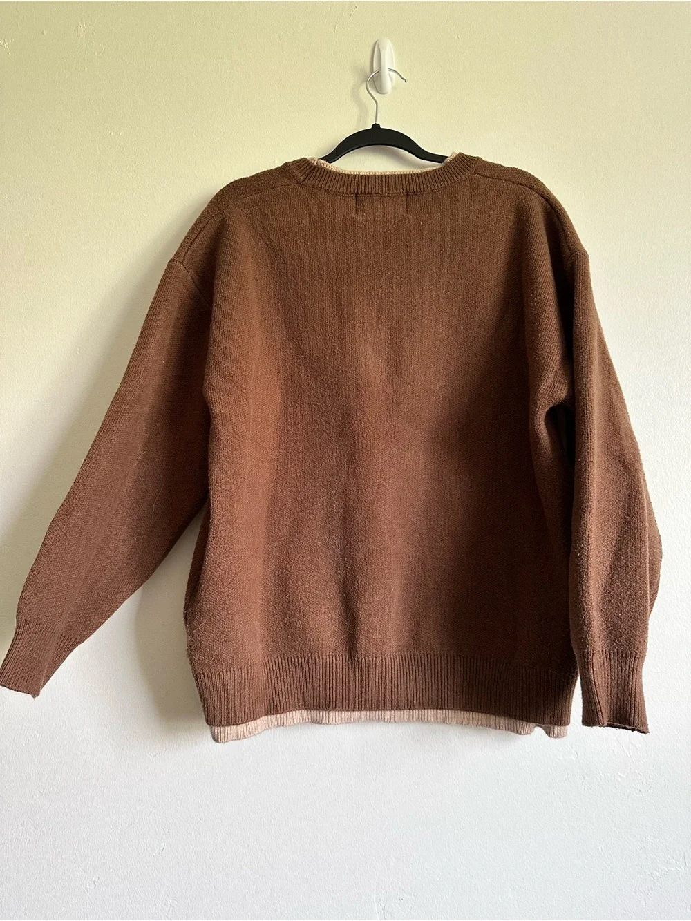 Aelfric Eden Brown Crewneck Sweater with Cream Mountain Graphic